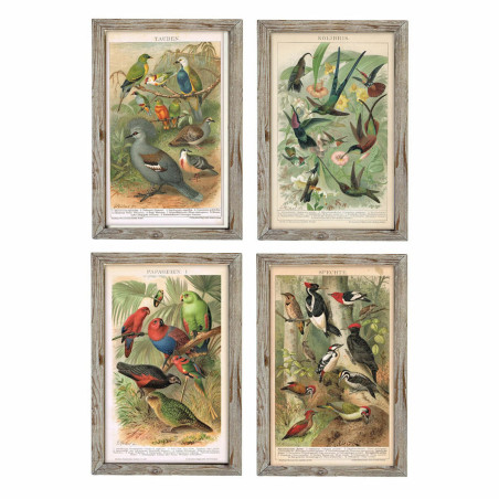 Cuadro DKD Home Decor Pájaros (45 x 2 x 65 cm) (4 Unidades)